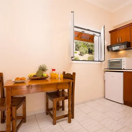 公寓 Odysseus By Hotelius 阿齐欧斯·贡多斯